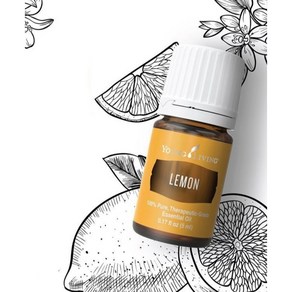 영리빙 레몬 에센셜오일 15ml Young Living Lemon Essential Oil 15ml, 1개