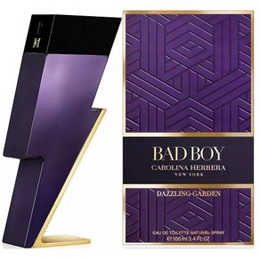 남성향수/Bad Boy Dazzling Gaden by Caolina Heea 3.4 oz EDT fo men, 1개, 100ml