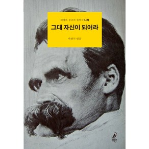 그대 자신이 되어라:해체와 창조의 철학자 니체, 부북스, 박찬국 편