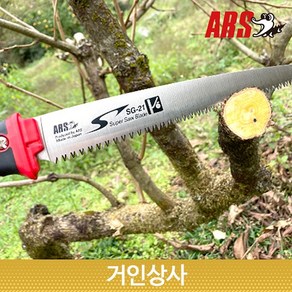 일제 아루스 과수 전지톱 SG-21/전정톱 나무톱 원예 가지치기 조경 원예용 정원 ARS