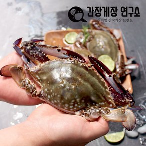 냉동꽃게 급냉 제철 꽃게 선동 숫꽃게 암꽃게 택배 국내산, 국내산 수꽃게 중대1kg, 1개