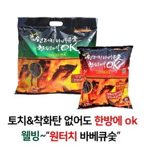 토치&착화탄 없이도 한방에 OK 웰빙~