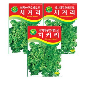 치커리 씨앗 (합 1500립) 종자 씨, 3개