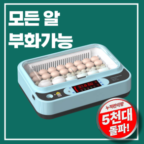 에그온봄 자동 온도 조절 회전 병아리 부화기 앵무새 비둘기 메추리 둥지 새장 새집, 1개, 블루 24구