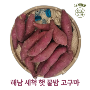 사계절맛 한입에 쏙! 군고구마에 딱!! 국내산 해남 세척 꿀밤 한입 고구마, 1개, 3kg