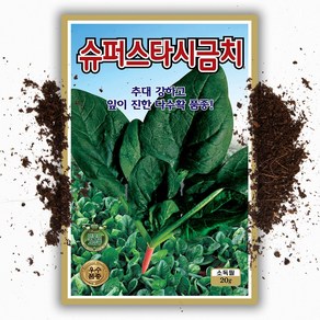 슈퍼스타 시금치씨앗20g 추대강하고 잎이 진한 다수확 품종, 1개