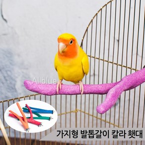 가지형 발톱갈이 칼라 횃대 1p 가지횃대 앵무새 횟대, 1개