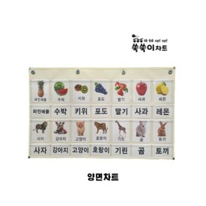 쑥쑥이차트 M-5 한글안녕 낱말카드 수납 차트 양면 한글 공구 통글자 아이보리 1개, 뒷면(글자)