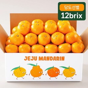 프루미츠 중문농협 엄선한 고당도 타이벡 감귤 2.5kg (12brix)