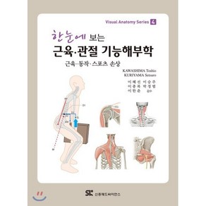 한눈에 보는근육 관절 기능해부학:근육 동작 스포츠 손상