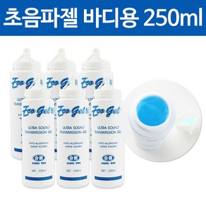 승원 울트라소닉 (바디) 250mL 초음파젤 물리치료, 승원 울트라소닉(얼굴/바디) 250mLx6개, 1개