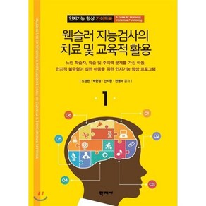 웩슬러 지능검사의 치료 및 교육적 활용:느린 학습자 학습 및 주의력 문제를 가진 아동