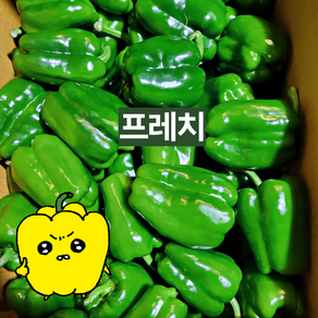 프레치 국내산 아삭 청피망, 보통(못난이흠집및부러짐O 귤만한사이즈), 1개, 1kg