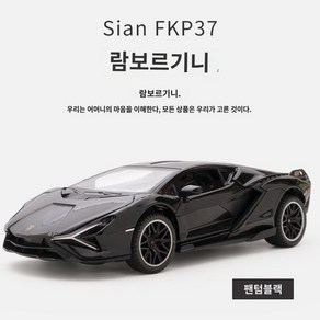 벤츠 AMG 리어 스포일러 튜닝 에어댐 다이캐스트 범퍼 바디킷, C. 람보 시안 블랙