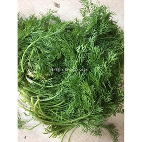 딜 (100G) DILL 팍실라우 딜생잎 허브딜 디라, 딜(100G), 1개, 100g