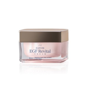 엔비 리바이탈 EGF FGF 기미잡티 크림 50ml