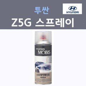 순정품 현대 투싼 Z5G 페퍼그레이 370 스프레이 자동차 차량용 카 페인트, 1개, 200ml