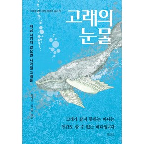 고래의 눈물:지금 지키지 않으면 사라질 고래들, 북카라반, 오애리김보미