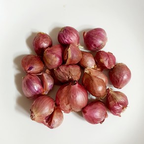 샬롯 미니양파 shallot