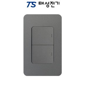 제일전기 디아트 다크그레이 스위치 2구, 1개