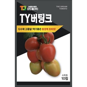 더드림 TY버팅크 토마토 씨앗 종자 / 다수확 먹기좋은 동양계 더드림 토마토씨, 1개