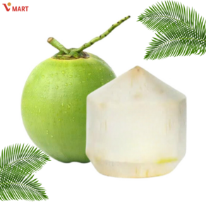 COCONUT 베트남 생코코넛 DUA TUOI 1과, 1개, 1~1.2kg