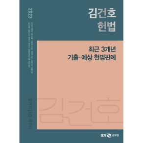 메가공무원 2023 김건호 헌법 최근 3개년 기출·예상 헌법판례:국가직 지방직 7급 국회직 8급 9급 법원직 9급 소방간부 경찰간부, 메가스터디교육