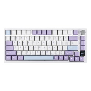 Ajazz AK820 Po 75% 가스켓 마운트 블루투스 5.1/2.4G 무선 & 타입-C 유무선 기계식 키보드, White Puple, Ajazz Gift Switch