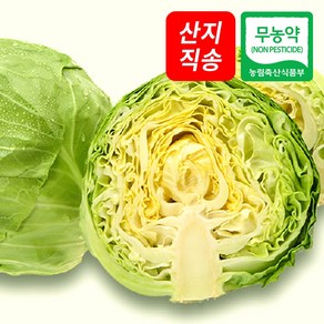 (자연마을) 국산 무농약 양배추 1kg 3kg, 무농약 양배추 3kg (2-4통), 1개