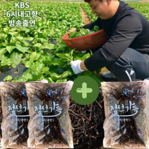 1+1 강원도 정선 건고사리 나물 해발700m 말린 마른 햇곤드레 명절나물, 3개, 200g