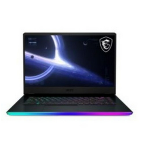 MSI 2021 GE66 Raide 15.6, 실버블랙, 1TB, 32GB, WIN11 Home, GE66 Raide 11UG