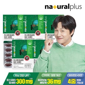 [내츄럴플러스] 포스파티딜세린 징코 브레인 60캡슐 5박스(5개월분)/기억력 인지력개선 비타민E 아연, 60정, 5개