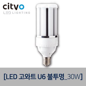 씨티오 LED고와트 U6 불투명, (E39)LED고와트 U6 불투명_30W, 전구색, 1개