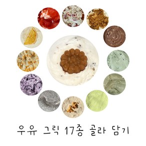 그리구 무설탕 우유 그릭 요거트 17종 골라담기 (250g) 신메뉴 약과 그릭 요거트 출시 황치즈 그릭 요거트 재오픈, 그린티 그릭요거트, 1개, 250g