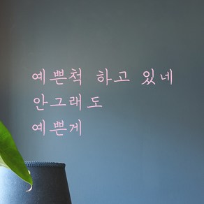 모노먼트 손글씨 감성 레터링 스티커 - 예쁜척 하고 있네 안그래도 예쁜게