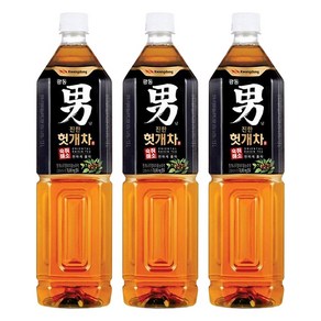 광동 힘찬하루 남 헛개차 1.5L