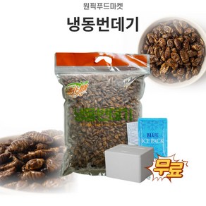 미노푸드 냉동번데기4kgX2개 번데기탕 술안주 업소용 대용량 (아이스팩무료), 4kg, 2개