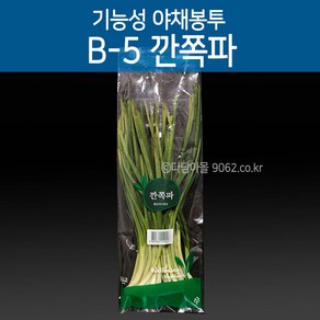 기능성 포장 야채봉투 깐쪽파봉투 B-5 200장, 1개