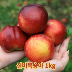 [당도보장] 신비 신선복숭아 황도 백도 산지직송 꿀복숭아, 신비(6~9과), 1박스, 1kg