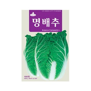 (CN) 명배추 씨앗 (1000립), 1개