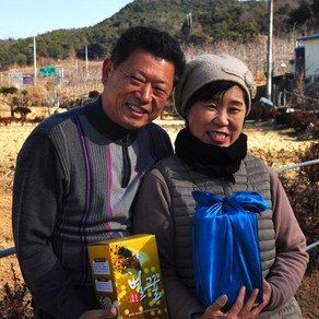 소백산벌꿀 영주에서 직접 채밀한 천연 벌꿀 100% 밤꿀 2.4kg, 1개