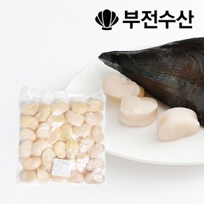 부전수산 냉동 신선한 키조개관자 (개아지살) 1kg 관자 관자구이 관자삼합 관자버터구이 관자찜