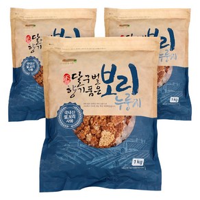 바른들식품 달구벌향기품은 보리 누룽지 1kg 국산 끓여먹는 누룽지 간식, 3개