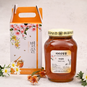 지리산 벌꿀 아카시아 향 사양벌꿀 야생화꿀 2.4kg