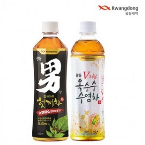 광동 옥수수수염차&힘찬하루 헛개차 남 500ml X 각10개(총20개) 액상차/광동/옥수수수염차/헛개차