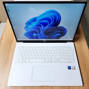 LG그램 17인치 15일 노트북렌탈 대여, WIN10, 16GB, 256GB, 화이트