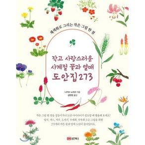 작고 사랑스러운 사계절 꽃과 열매 도안집 273:채색화로 그리는 작은 그림 한 점