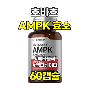 호바흐 AMPK 효소 메타볼릭 엑티베이터 450mg 60캡슐, 1개, 60정