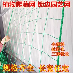 오이망 그물 고추 호박 망 넝쿨 네트 등반 메쉬 격자 10m, A. 폭2m길이20m, 1개