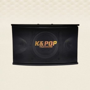 KPS-501 노래방스피커 10인치 400W 1개